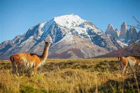 Patagonia Luxury And Private Tours Quasar Expeditions
