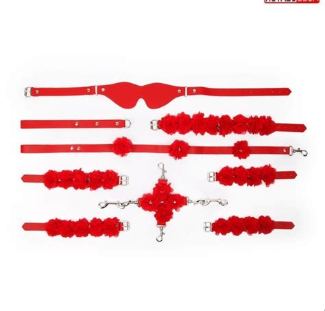 Stylish Red Bdsm Set In The Bag A Great Set Of Accessories For Fans Of Bdsm Games The Kit