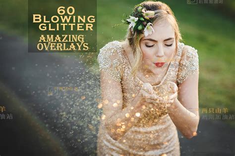 Blowing Glitter Photoshop Overlays