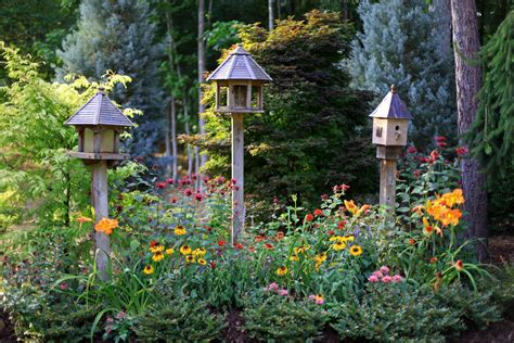 Benefits Of Inviting Birds To Your Garden Greenmylife