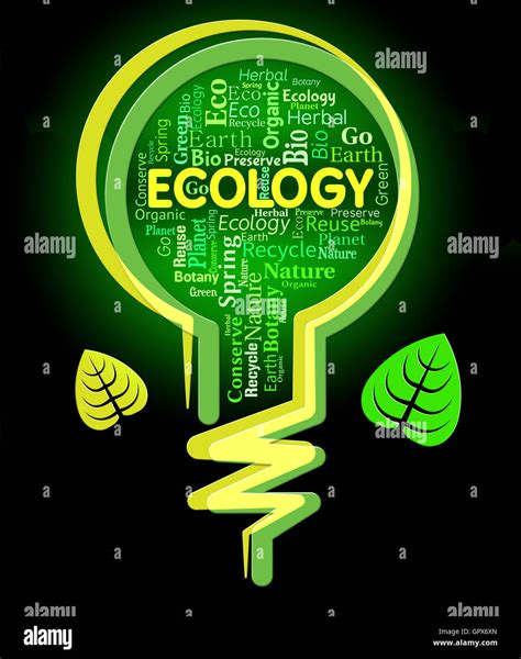 Ecology Words Showing Earth Day And Environment Stock Photo Alamy