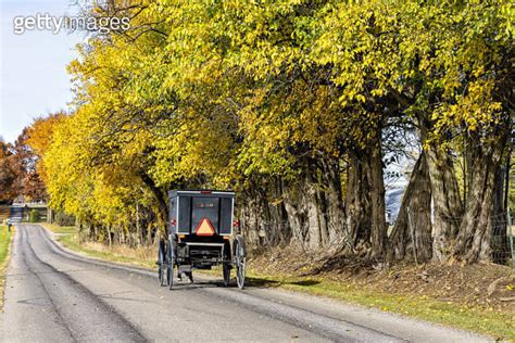 Amish Buggy And Trees In Fall Colors 이미지 1438429387 게티이미지뱅크