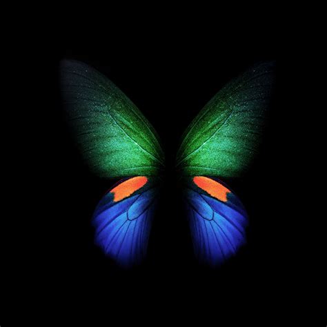 Samsung Galaxy Fold Butterfly Stock 4k Wallpapers Hd Wallpapers Id