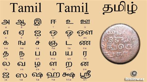 Grade 6 Tamil Second Language Sri Lanka Tamil Second Language Vrogue