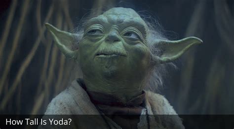 How Tall Is Yoda Did Yoda Die From Old Age
