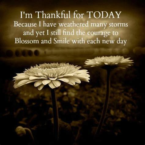 Today I Am Thankful Quotes Quotesgram