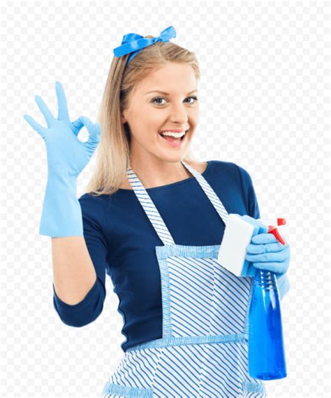 Cleaning Woman Telegraph