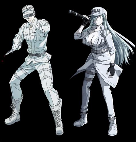 Male Vs Female White Blood Cells In Cells At Work Because If Theres