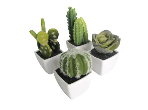 Set Of 4 Artificial Mini Succulent And Cactus Plants In White Etsy
