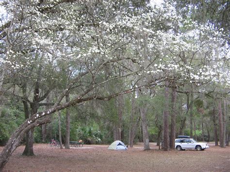 The ocala national forest covers almost 700 square miles in the center of the florida peninsula. Online Journal of Adventures: Camping in Ocala National Forest