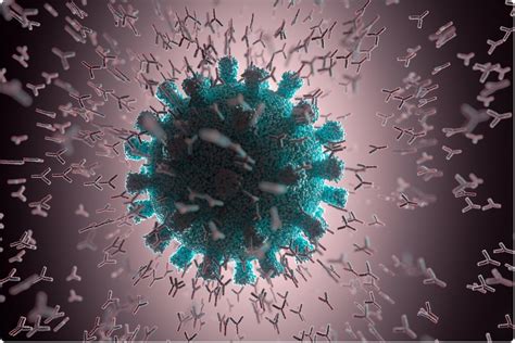 Phase Study Shows Safety And Immunogenicity Of Sars Cov Recombinant