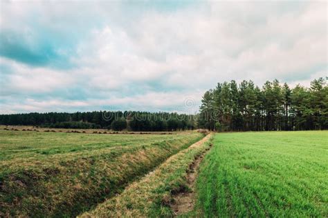 Spring Green Fields In Belarus Sunset Landscape Stock Image Image Of