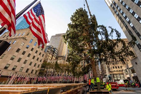 This Years Rockefeller Center Christmas Tree Sums Up 2020