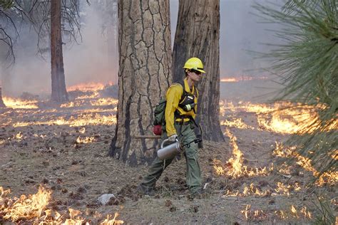 Hot Dry Conditions Will Increase Wildfire Risk This Weekend Kitsap