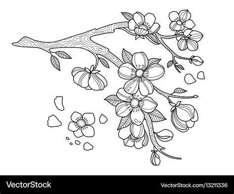 30 Cherry Blossom Coloring Pages Alisterhelene