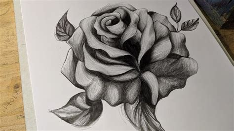 Dibujos De Rosas A Lapiz Faciles