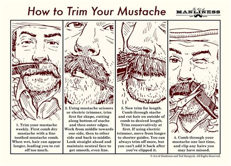How To Trim Your Mustache An Illustrated Guide