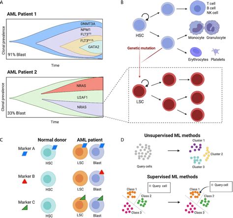 Frontiers Taming Cell To Cell Heterogeneity In Acute Myeloid