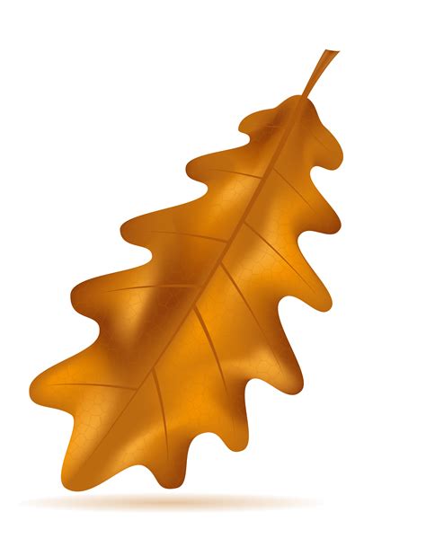 Autumn Oak Leaves Vector Illustration Vector Art At Vecteezy