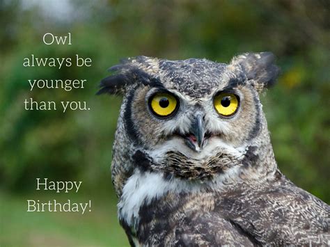 Birthday Owl Photo Greeting Card 4x5 Birthday Cards Blank Etsy Canada