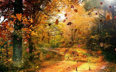 Fall Scenery Wallpapers Free Download Pixelstalknet