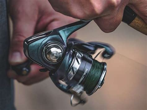 Trickledown Technology From Daiwa Fishing Tackle Retailer The
