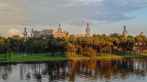 5 Top Majors At The University Of Tampa Oneclass Blog