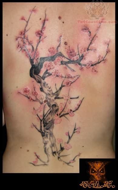44 Best Cherry Blossom Tree Tattoo Ideas Images On