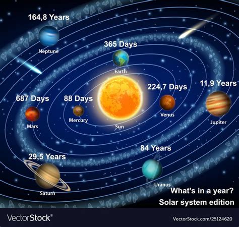 Eight Solar System Planets Orbiting The Sun Diagram Vector Educational Poster Scientific