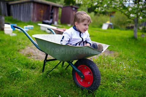 Cute Young Baby Boy Inside Wheelbarrow In Garden Stock Image Image Of