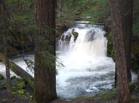 Whitehorse Falls North Umpqua River Whitehorse Falls Nor Flickr