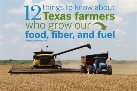 12 Things To Know About Texas Farmers Texas Farm Bureau Table Top