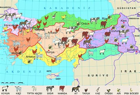 Türkiye Tarim Ve Hayvancilik Haritasi 5 Sinif Sosyal Bilgiler Ders
