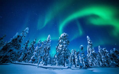 Download Wallpapers Lapland 4k Night Winter Forest Northern Lights
