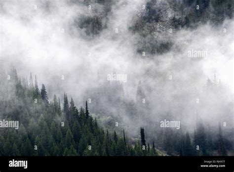Mist Rising After Rain Hi Res Stock Photography And Images Alamy