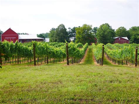 Robin Hill Farm And Vineyards Maryland Wineries Association