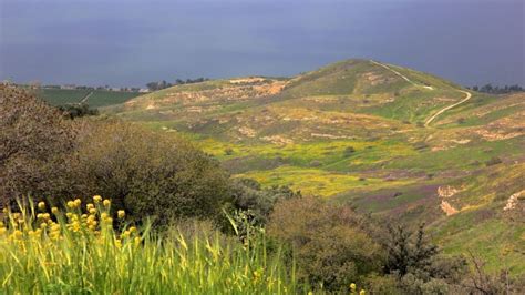 Hiking The Golan Trail Israel21c