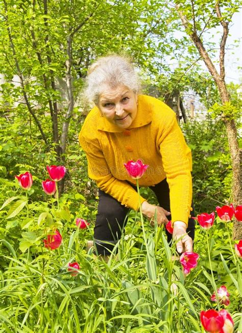 Old Lady In The Garden With Tulips Stock Photo Image Of Tulip
