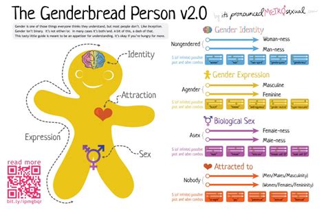 Gender V Sexual Orientation A Short Primer Dr Karen Raynes Website