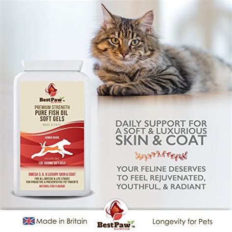 Cats with dry skin are often itchy as well. Omega 3 Fish Oil For Dogs & Cats 1000mg Capsules ...