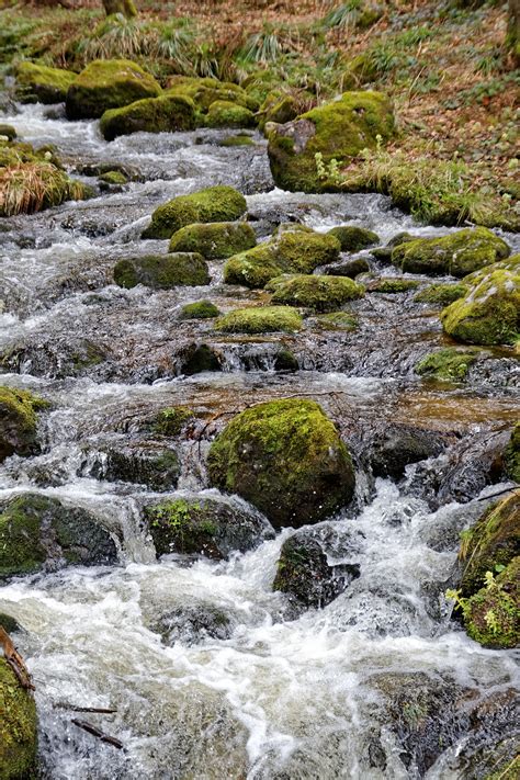 Gambar Pemandangan Alam Hutan Batu Air Terjun Sungai Kecil