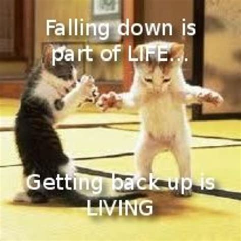Falling Down Is Part Of Lifegetting Back Up Is Living Know Your Meme