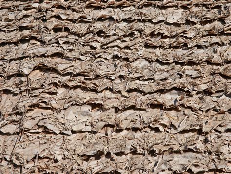 a leaf roof texture
