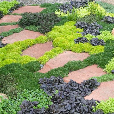 10 Tips For Creating Easy To Maintain Landscaping Ground Cover Plants