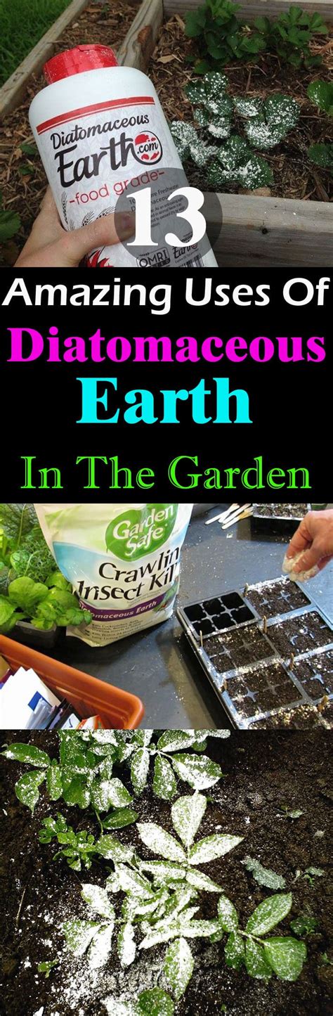 Starting your own home garden can seem a little daunting for those with a budding green thumb. If You're A Gardener, Learn About These 13 Diatomaceous ...