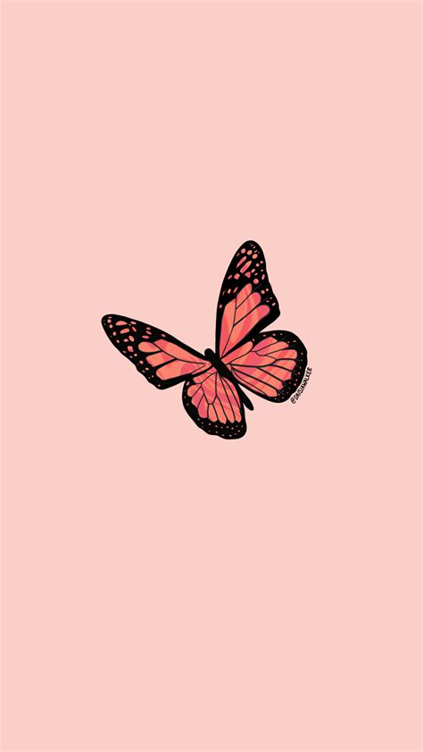 Aesthetic Orange Butterfly Wallpapers Top Hình Ảnh Đẹp