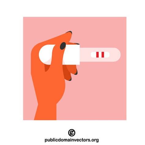 Pregnancy Test Vector Clip Art Public Domain Vectors