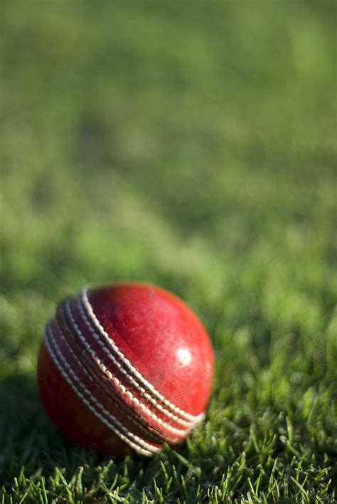 Free Stock Photo 4837 Leather Cricket Ball Freeimageslive