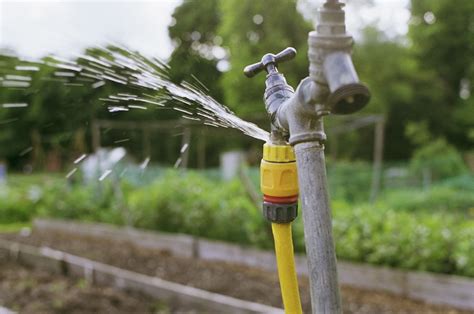 How to learn how to garden. How to Fix Leaky Hose Bib