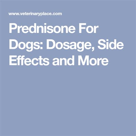 Prednisone For Dogs Dosage Side Effects And More Prednisone Dog
